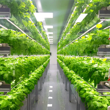 data loooger for  Agriculture