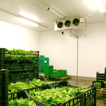 data loooger for  Cold-Storages_Cold-Chain